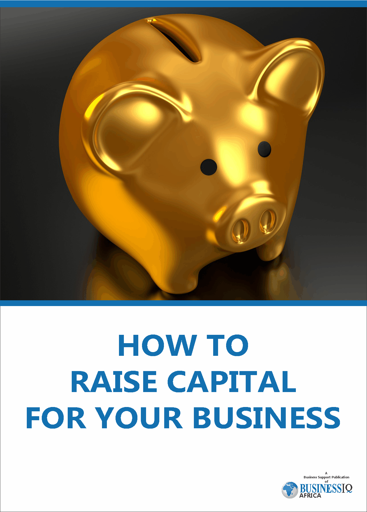 picture of How to Raise Capital for your Business